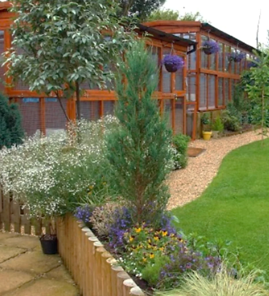 pury end cattery: information page 10ad