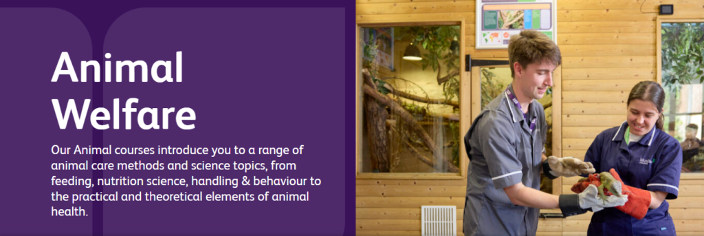 pury end cattery: CAREERS page 23